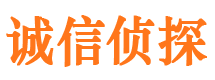 道外市调查公司